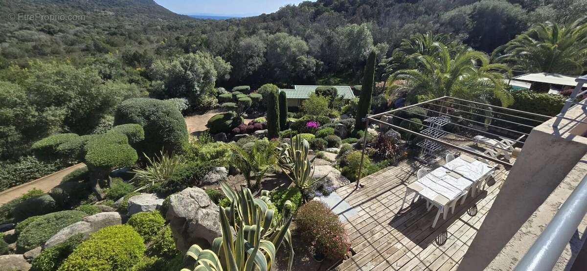 Maison à PORTO-VECCHIO