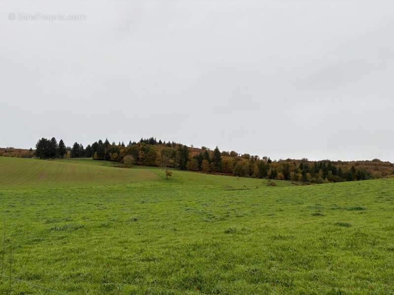 Maison à LA ROCHE-L&#039;ABEILLE