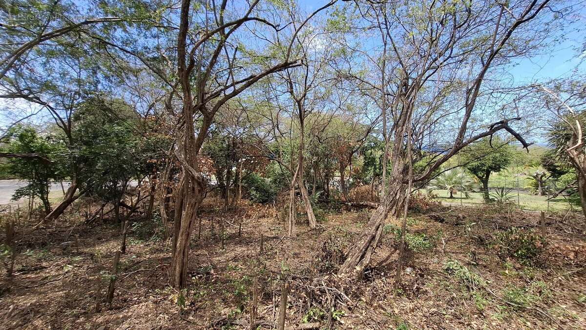 Terrain à BOUILLANTE