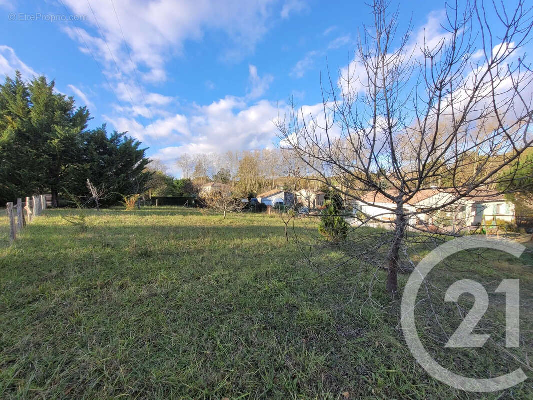 Terrain à RABASTENS