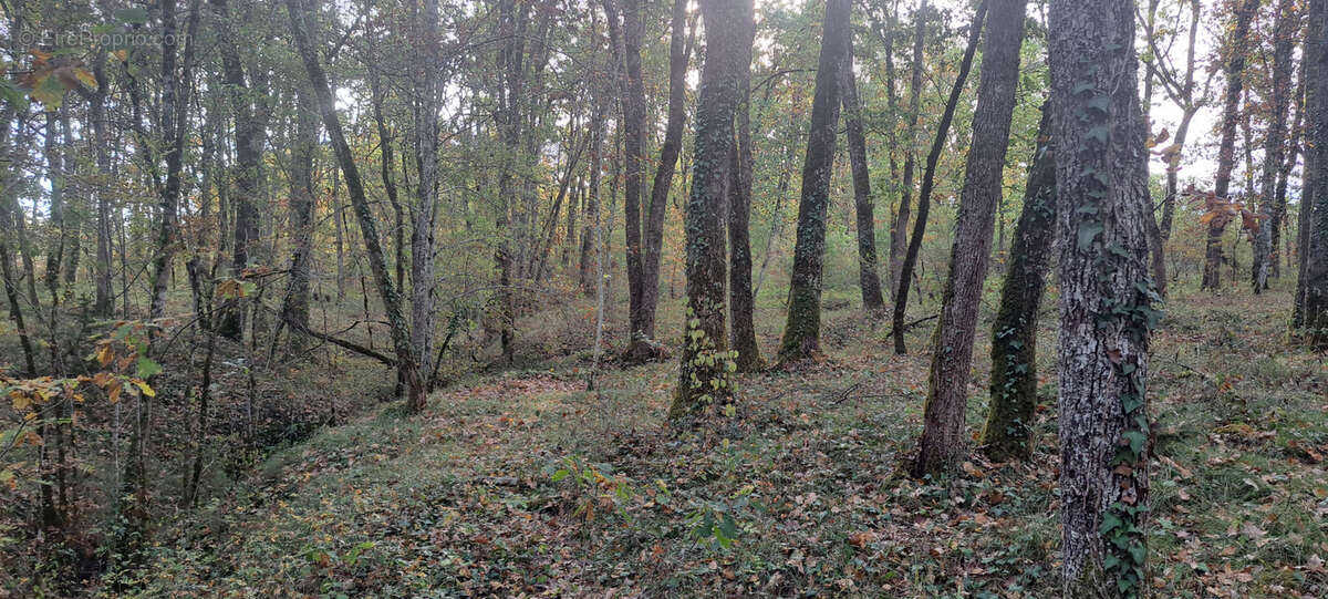 Terrain à SEPTFONDS