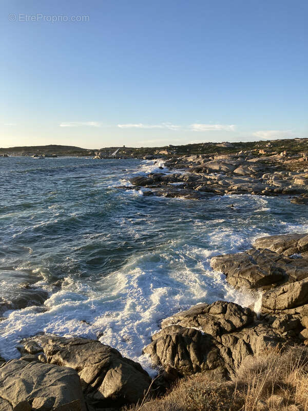 Propriété 4 logements à 1 km des plages - proche de la Réserve Naturelle de Spanu - photo 16