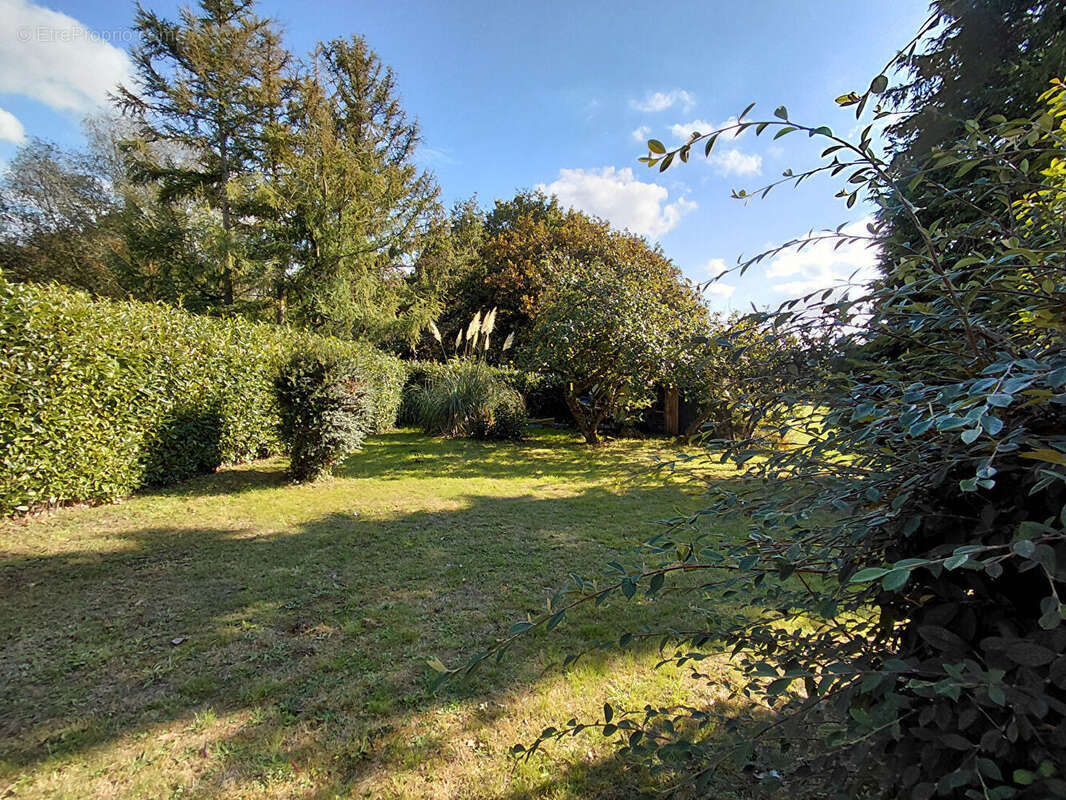 Maison à PLOURIN-LES-MORLAIX