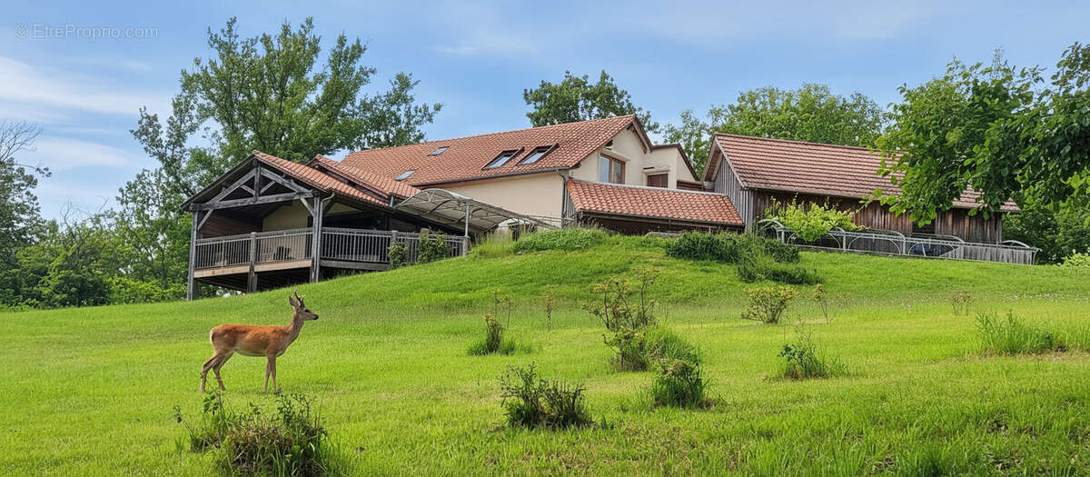 Maison à ROUFFIGNAC-SAINT-CERNIN-DE-REILHAC