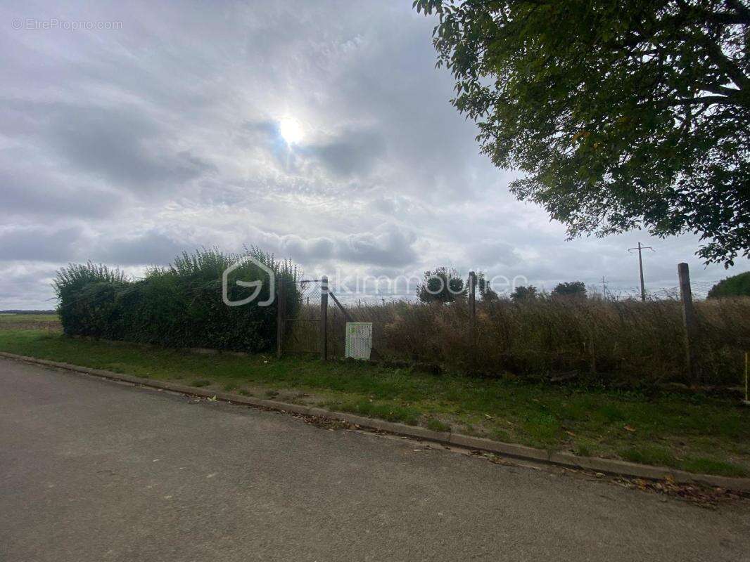 Vend Terrain à Bâtir 20 Min de Etampes - photo 2