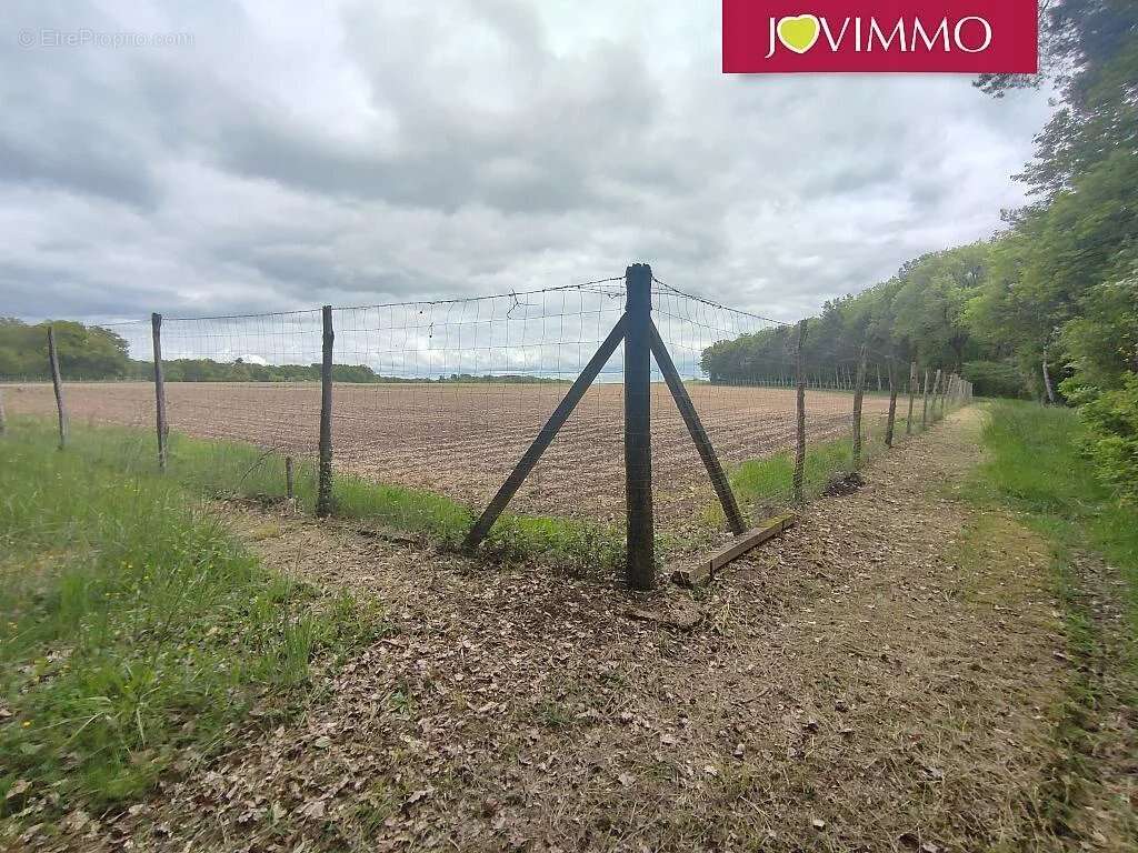 Terrain à MIGNALOUX-BEAUVOIR