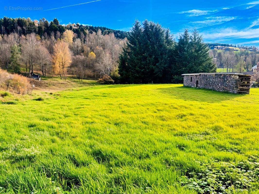 Terrain à WISEMBACH