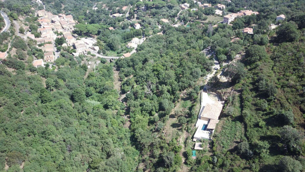 Terrain à VILLE-DI-PARASO