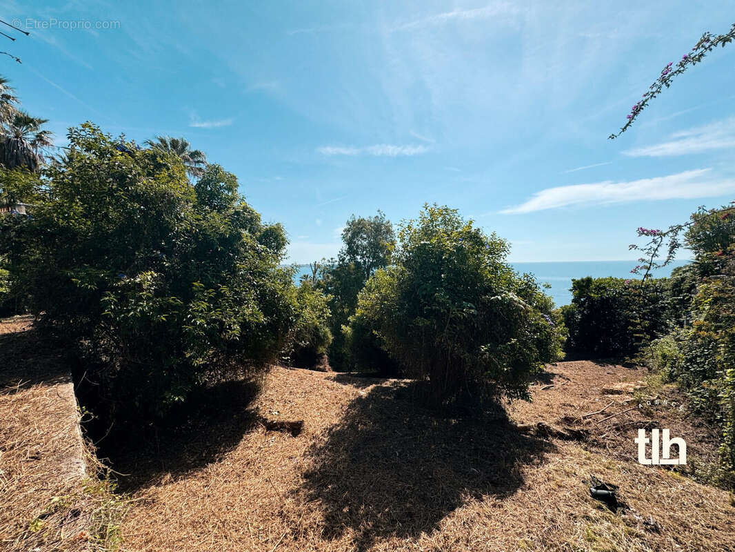 Terrain à VALLAURIS