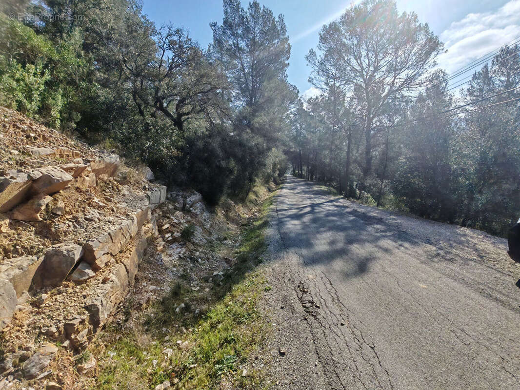 Terrain à SOLLIES-TOUCAS