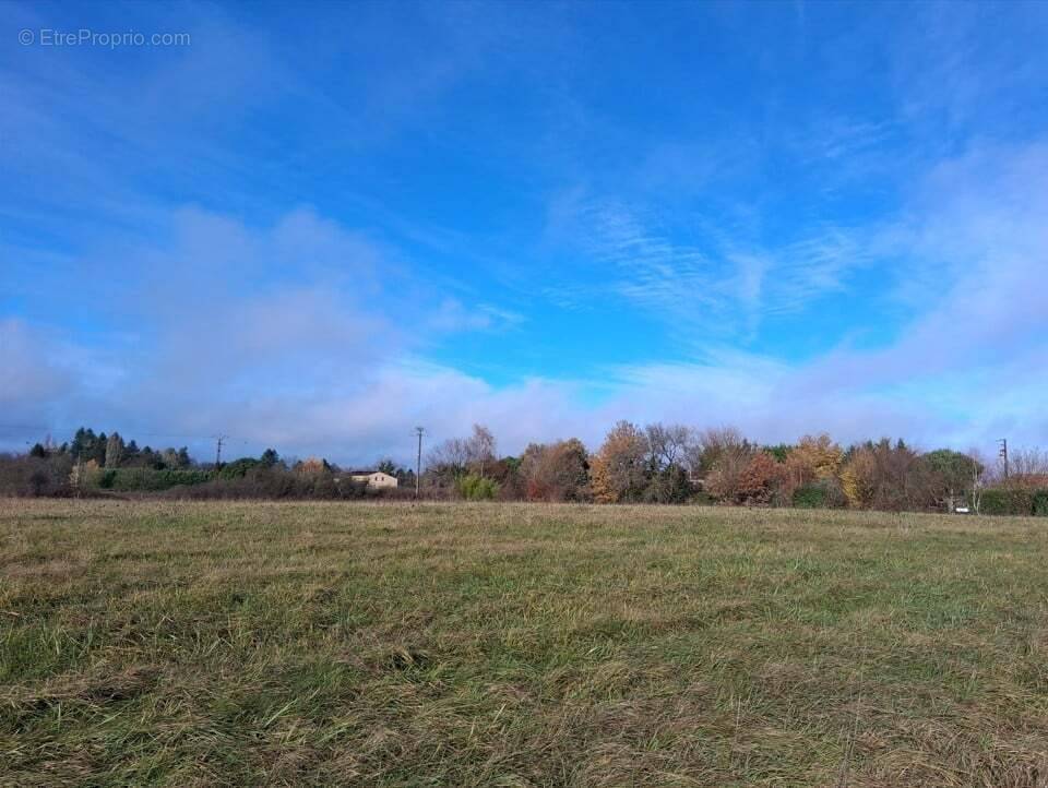 Terrain à MARSALES