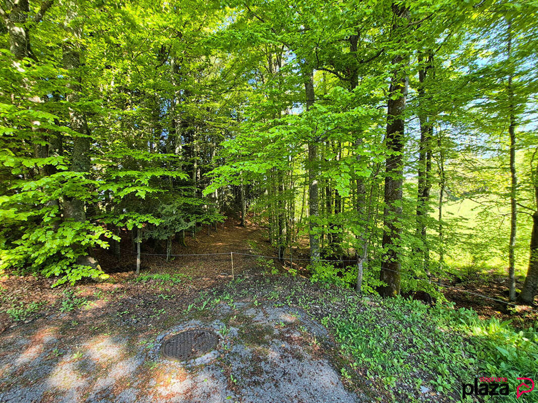 Appartement à BOGEVE