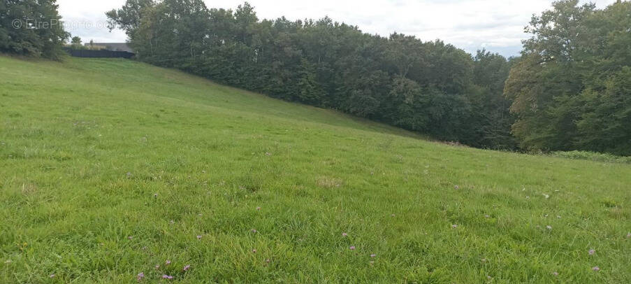 Terrain à DAMPNIAT