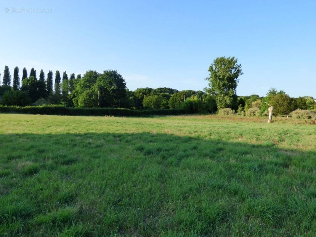 Terrain à SAINT-PIERRE-DE-MONS