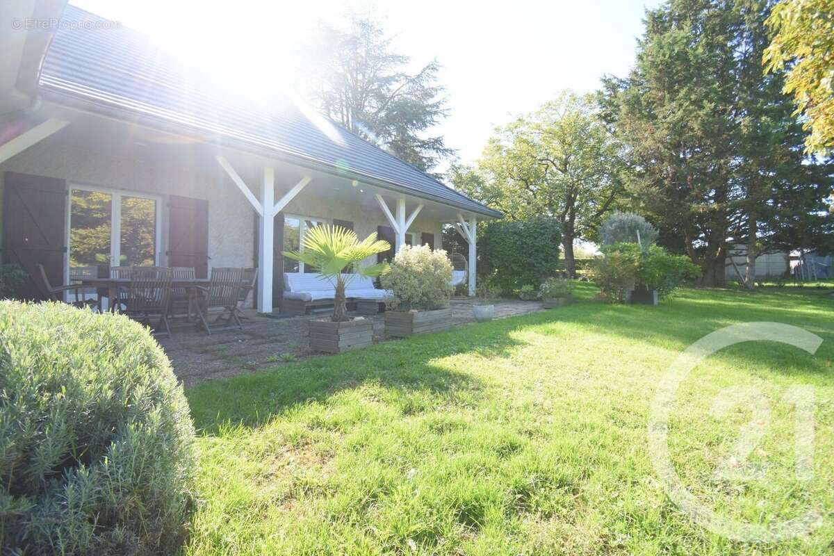 Maison à CREUZIER-LE-VIEUX