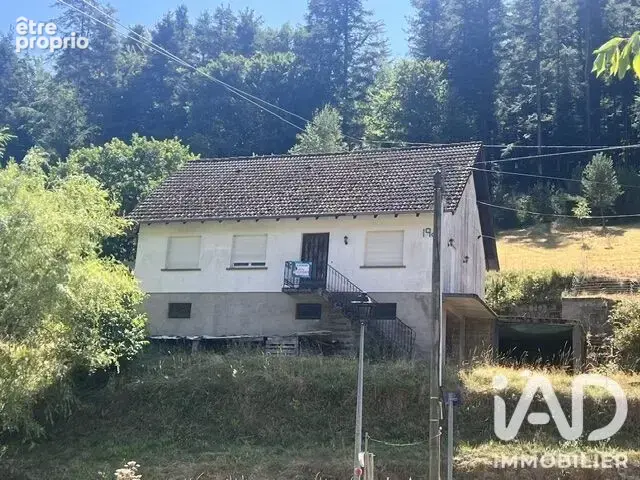 Photo 1 - Maison à WANGENBOURG-ENGENTHAL