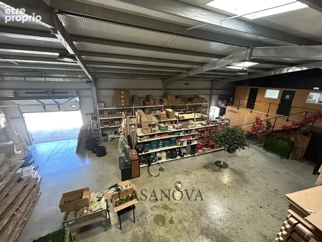 Rachat sarl Déco végétale et végétaux stabilisés Vendargues - photo 14