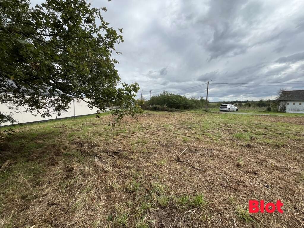 Terrain à SAINT-THURIAL