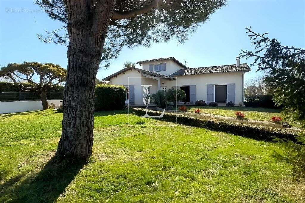 Maison à BRESSOLS