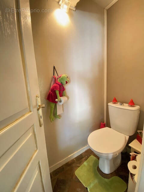 Maison à CHAINTREAUX