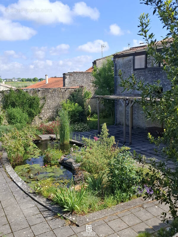 Commerce à ROCHEFORT