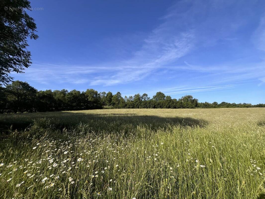 Terrain à MAURIAC