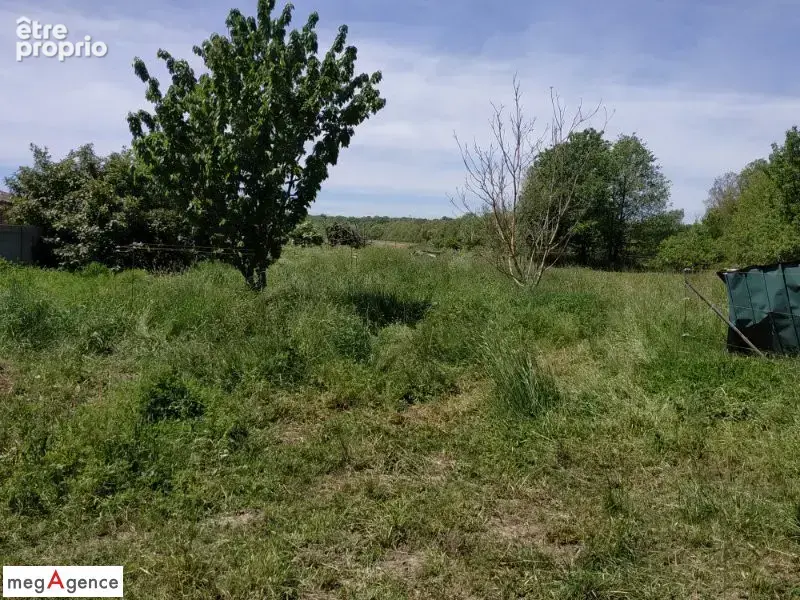 Maison de caractère 9 pièces à rénover plus dépendance sur 6000 m² de terrain - photo 5