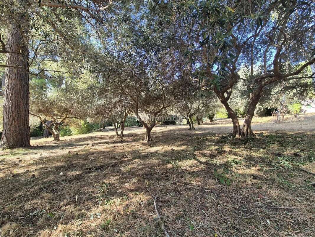 Vente Terrain Draguignan(83300) 145 000ï¿œ - photo 3