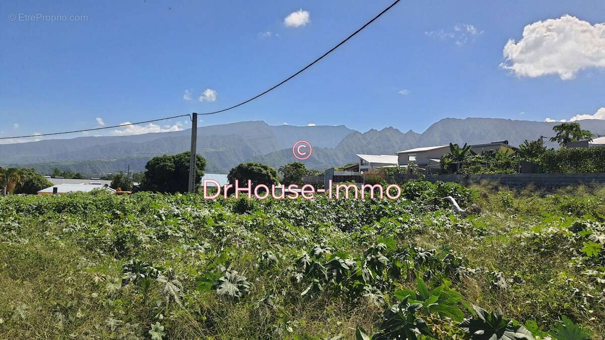 Terrain à LE TAMPON