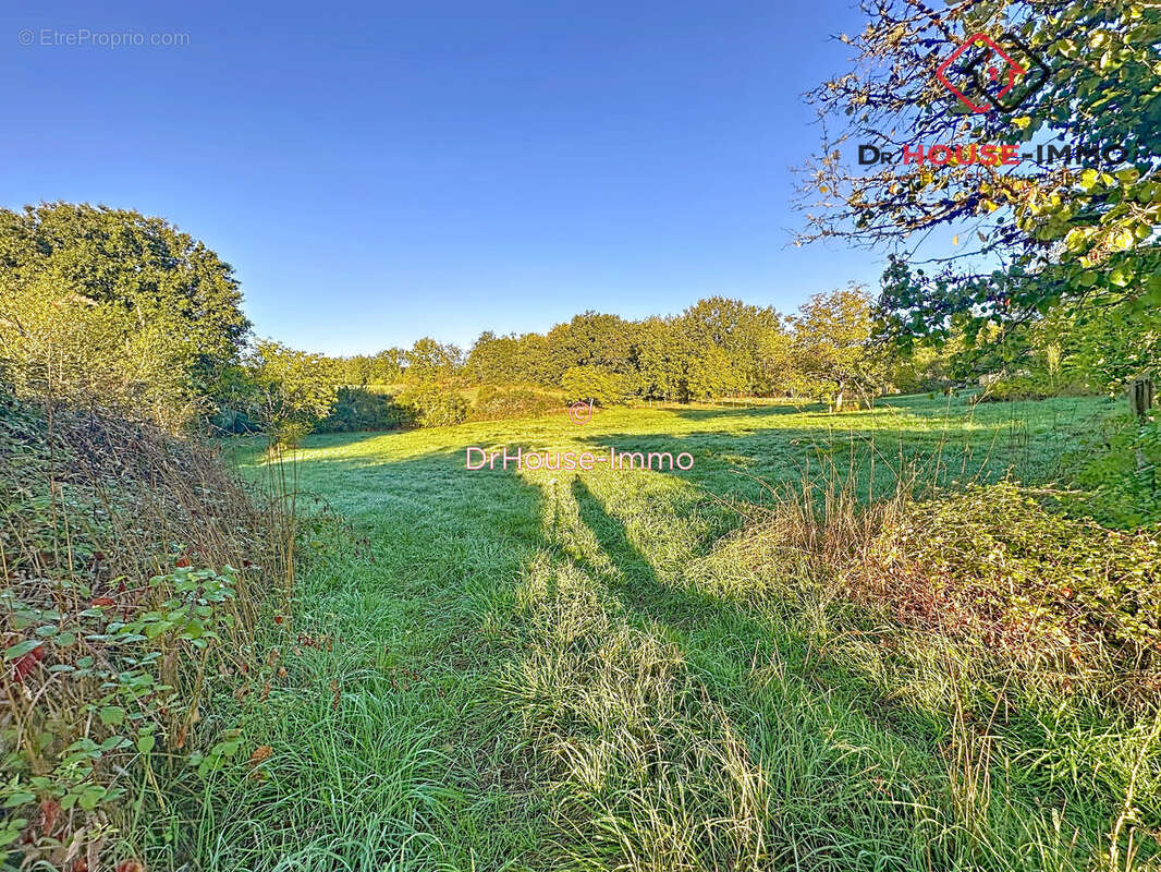 Terrain à SAVIGNAC-LES-EGLISES