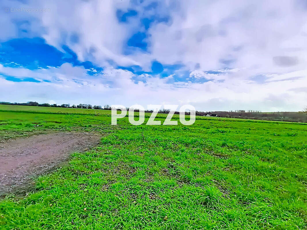 Terrain à MAISONCELLES-PELVEY