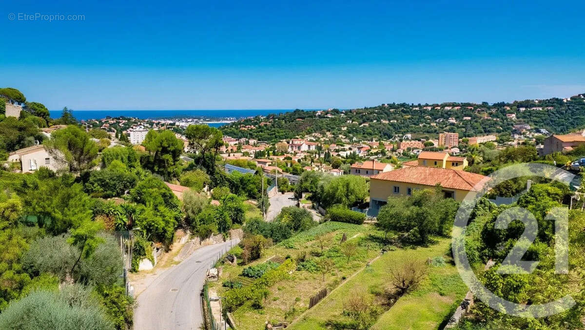 Terrain à VALLAURIS