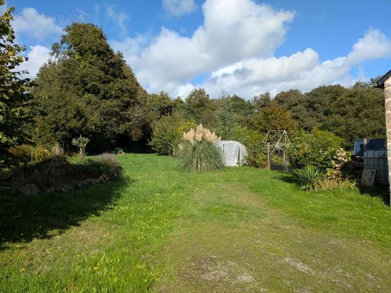 Saint tugdual grande longere renovee de 5 pieces 154m² parcelle de 1390m² - photo 27