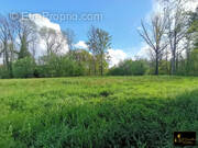 Terrain à SAINTE-MESME