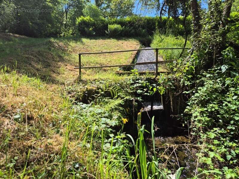 Terrain à PRESSIGNAC