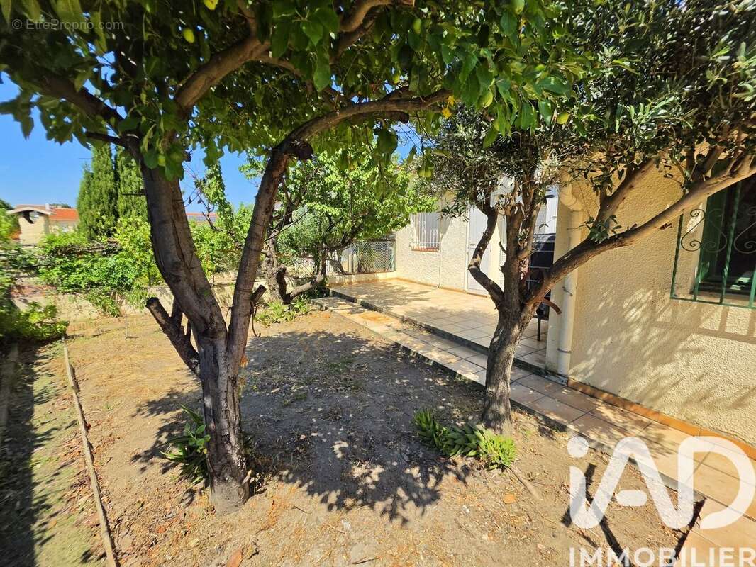 Photo 4 - Maison à CABESTANY