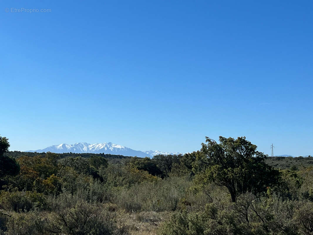 Maison à SALSES-LE-CHATEAU
