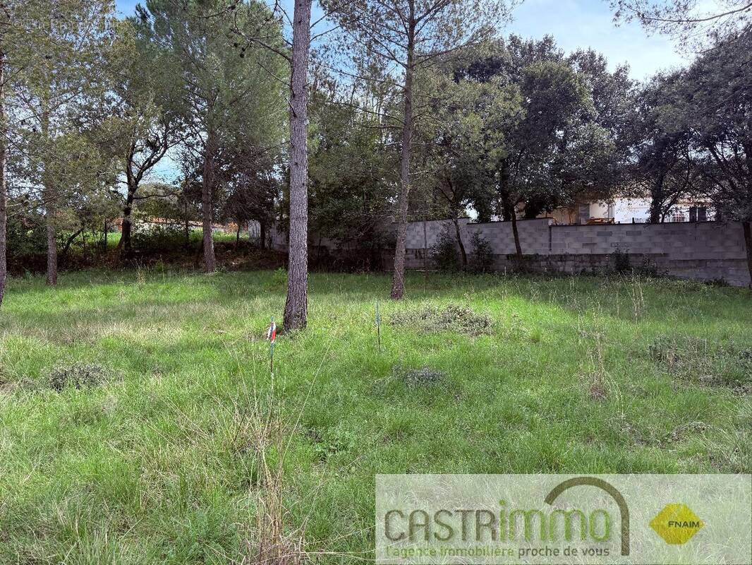 Terrain à SAINT-DREZERY