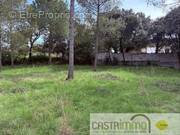 Terrain à SAINT-DREZERY