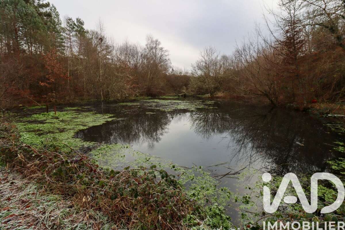 Photo 9 - Terrain à SOURSAC