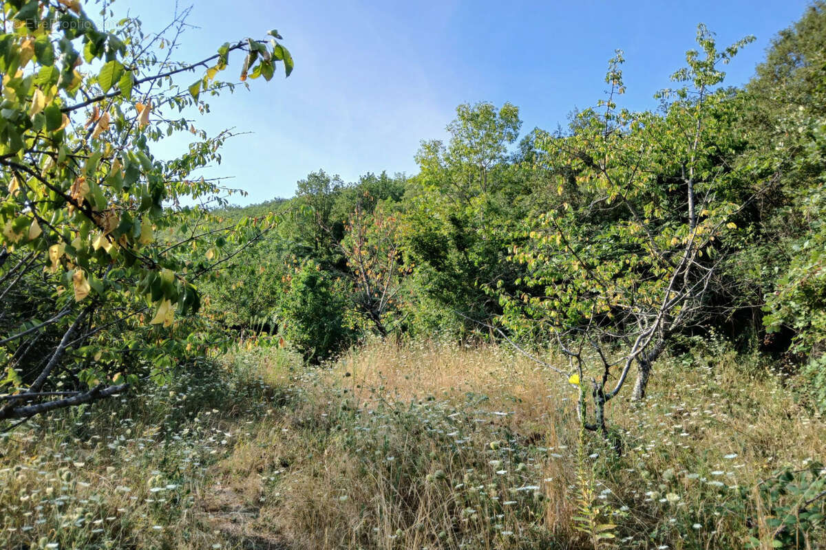 Terrain à REYNES