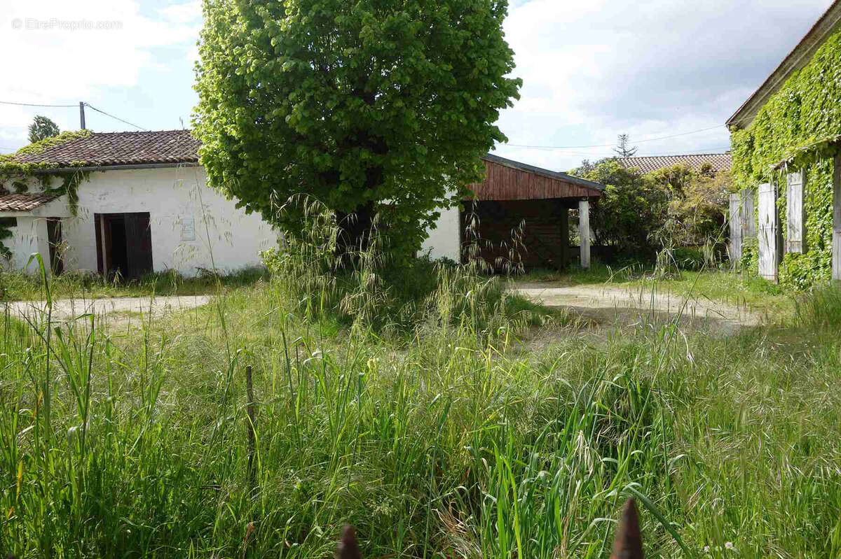 Maison à CARTELEGUE