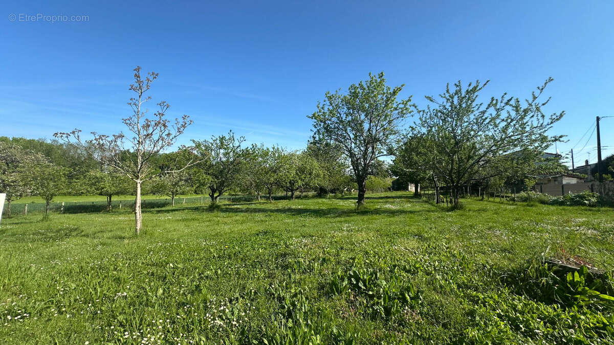 Terrain constructible 1218 m² - photo 2