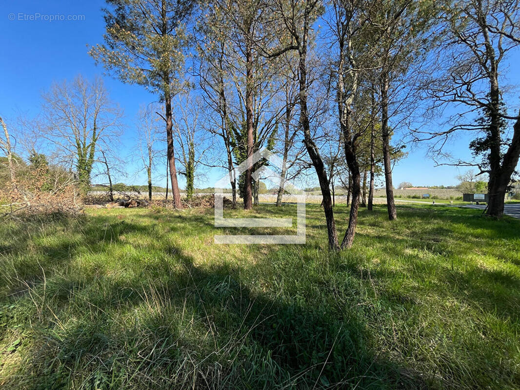 Terrain à LESPARRE-MEDOC