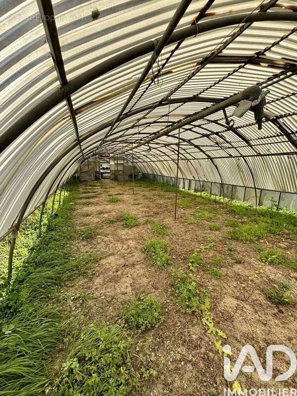 Photo 6 - Terrain à JOIGNY