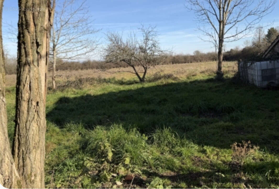 Maison de village à rénover, avec terrain et parcelles - photo 5