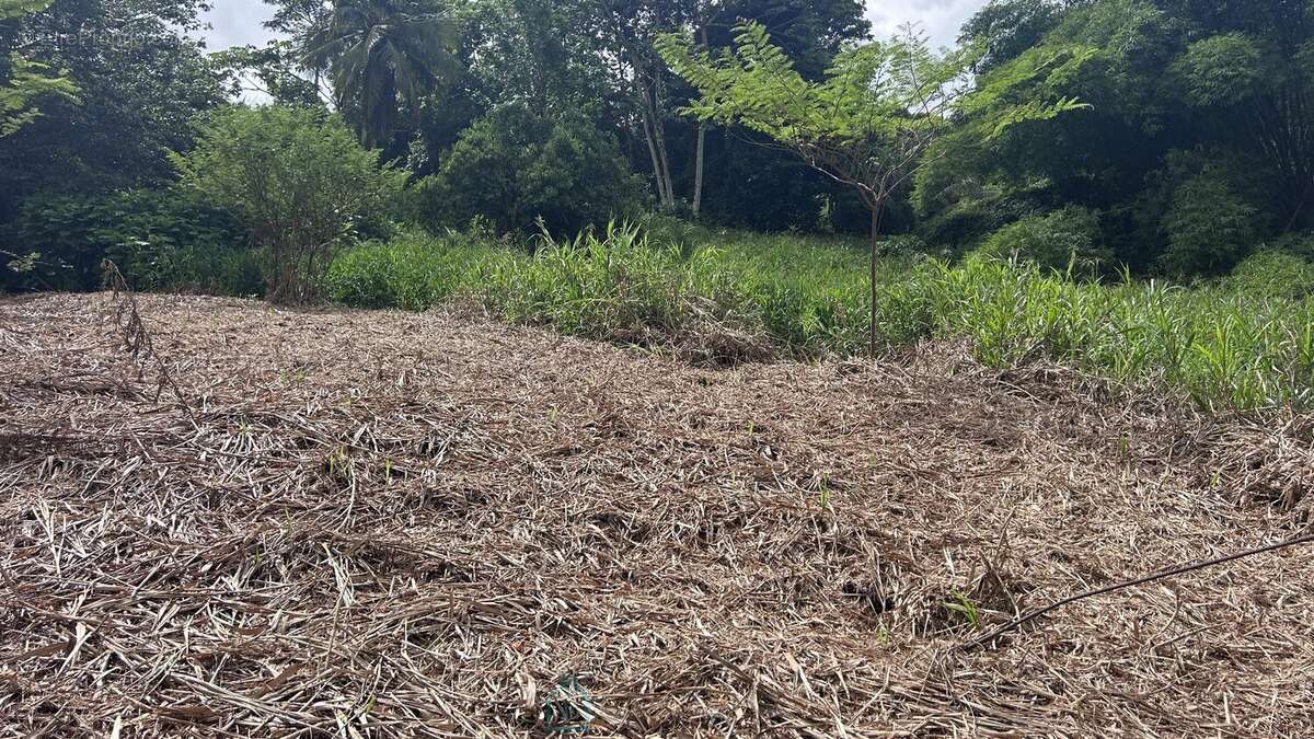 Terrain à LE LAMENTIN