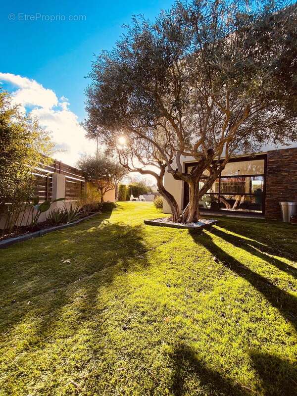 Photo 3 - Maison à CABESTANY