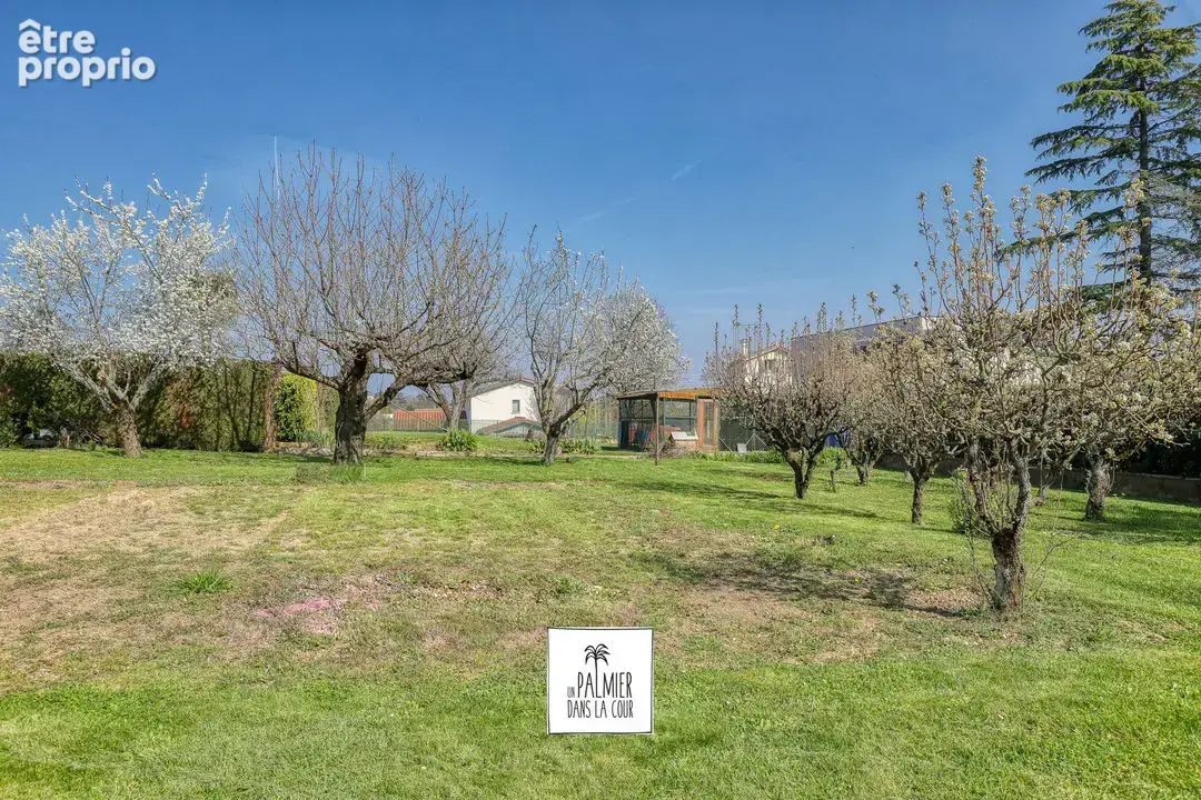Terrain 998 m² à vendre à Saint-Didier-Au-Mont-D'or (69370) - photo 6