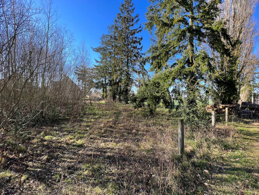 Terrain à HARGEVILLE